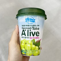 테이크얼라이브 머스캣 청포도 250ml x 5개_아이스박스, 아이스박스포장