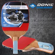 도닉 탁구라켓 단면 Level-700 펜홀더그립