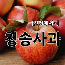 부사 햇사과 싱싱하고 달콤한 소미네 꿀사과, 1박스, 12.갈아서먹는 쥬스용사과 10kg 중과이상(반품불가)