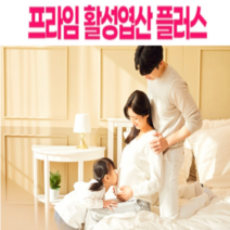 보부상-BBS00057