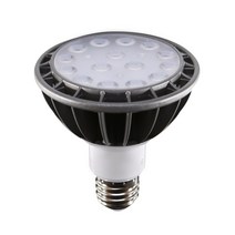 천지몰 LED PAR30 램프 15W 주광색 전구색 확산형 집중형, 1개, [LED PAR30 15W 집중형] 주광색(흰빛)