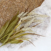 달리베리 빈티지 가을 차조 조화, 크림