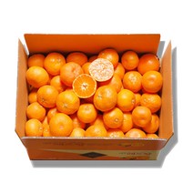 영숙이네 제주 레드향 1.5kg 실중량 외 한라봉 사이즈별 골라담기, R02. 레드향 1.5kg 중과, 1개