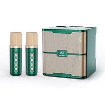 블루투스 스피커 가정용 무선 노래방 휴대용 스피커 KTV 세트 충전식 무선 가라오케 기계, 02 Green