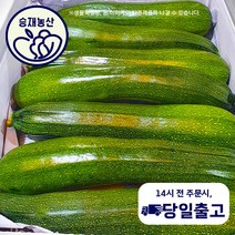 ( 승재농산 국내산 쥬키니호박 주키니호박 못난이호박 돼지호박 (상등급) 3kg 5kg 10kg내외, 상3kg, 1개