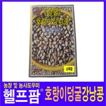 헬프팜 호랑이덩굴강낭콩 30g 씨앗 종자 KS종묘