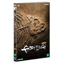 [DVD] 슈퍼피쉬 : 끝없는 여정 (극장판) (1Disc) : 2013 휴스턴국제영화제 다큐멘터리부문 대상
