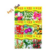 봄맞이 플랜테리어 야생화 씨앗 9종 꽃 씨앗 채송화 안개초 접시꽃 사루비아 나팔꽃 해바라기 봉선화 타레붓꽃 과꽃 케이스스탁