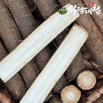 식탐대첩 국내산 햇 생우엉 1kg 상특품, 단품