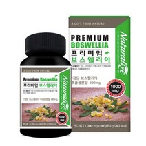 네추럴라이즈 프리미엄 보스웰리아 1 000mg x 60정 보스웰릭산 관절보스웰리아 효능 직구 환 테르페노이드 셀레늄 중년여성, 120정, 1000mg