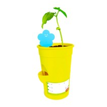 강낭콩 키우기 토비 압축토 심지화분 세트, 새싹연두