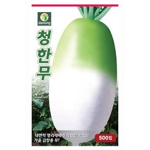 두메 부추 100립 부추씨앗 부추씨 야채씨 야채씨앗 채소씨 채소씨앗, 06_다농_청한 무(500립)