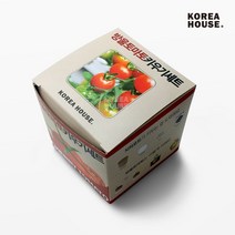 언브랜디드 방울토마토 상추 강낭콩 봉선화 키우기세트 실내 원룸 거실 베란다 키트