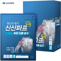 신신제약 신신파프 쿨 파스, 10매입, 2개