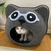 PETCA 고양이 숨숨집 고양이집 안경곰돌이 하우스, 차콜
