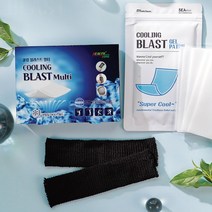 쿨링 블라스트 멀티 패치 5매입 + 엘라스틱 네트 2개 1갑 붙이는 쿨팩 냉찜질 목 얼음팩, 단품, 단품