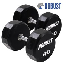 Robust 로버스트 고급 아령 40kg 1개, 단품