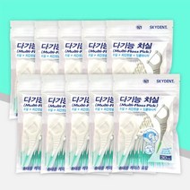 스카이덴트 다기능치실 30p 10개 /y자형 치실 치간칫솔, 단품