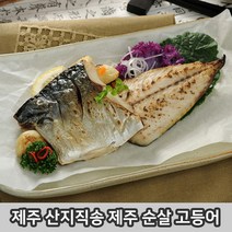 [딜리버리팜] 제주 고등어 130g 10팩 손질 저염 고등어살 국내산 제주도 순살 간고등어 구이, 제주 고등어 130g * 10팩, 10개