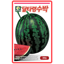 달타령수박 2000립 텃밭채소 과채류 주말농장 가정원예 채소종자 수박씨