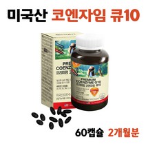 코엔자임 큐텐 효능 혈압에좋은 영양제 항산화제 Q10 혈압강하, 1개 코엔자임Q10 (2개월분)