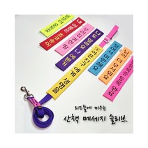 (초코송이네 커스텀)강아지 산책 메세지 슬리브, 3