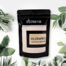 더제일식품 카나우바왁스 분말 Carnauba wax 100g