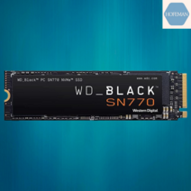 WD_BLACK 1TB NVMe 인터널 게이밍 SSD (WDS100T3X0E), 2TB