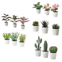 이케아 페이카 조화 인조식물 인테리어 꽃 장식 소품 미니 성묘 선인장 다육이 허브 콜리우스, 다육이 205.197.65