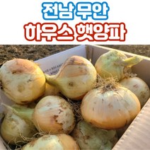 무안 양파 햇양파 하우스양파 중소 특상 2.5kg 4kg 8kg, 중소_햇양파_4kg
