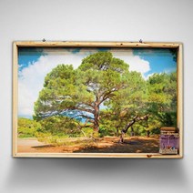 [바보사랑] 우드프레임액자_부와명예의상징소나무2, 타입선택:이미지2