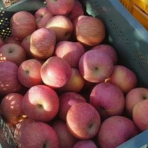 밀양 얼음골사과 고당도 프리미엄 아삭아삭한 꿀사과, 대과16과(4.3kg내외)