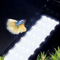 미미네아쿠아 올화이트 LED 어항조명 1자반등 40-50, 단품없음