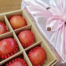 껍질째 먹는 선물용 괴산 사과 꿀사과 고당도 5kg, 대과5kg(14~16과), 보자기포장
