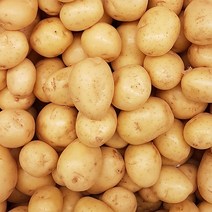22년 국내산 햇감자, 감자 10kg / (중사이즈) 50g~70g내외