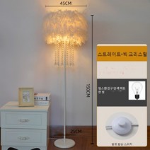 JINGHENG 깃털 스탠드 조명 무드등 스튜디오 조명 구스 장조명, 라지 + 크리스탈