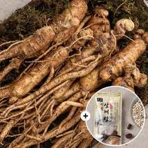 무세척 난발삼 200g(10뿌리 내외)+삼계탕 국물재료 100g 백숙재료 가정용 가정용 삼복 초복 중복 말복 보양식, 2723_무세척 난발삼 200g+국물재료 100g