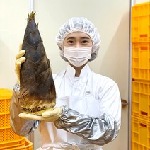 HACCP인증 전남 담양 2022년 햇 생죽순 삶은죽순[분죽] 맹종죽[죽순채] 300g 1kg 5kg, 맹종죽 1kg