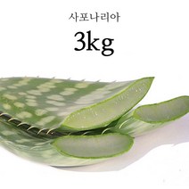프리미엄 생알로에 베라 사포나리아 식용 알로에 알로에화분 2kg 3kg 5kg, 1박스, 사포나리아 3kg