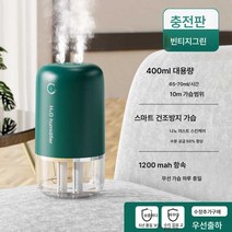 가습기 나노 미스트 휴대용 미니 무드등 청정기 수분 공급, 스마트3단원샷듀얼샷인터럽트림, 항속력빈티지그린무음가습스마트건열방지