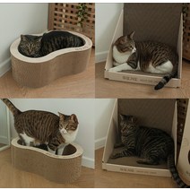 편안한쉼터 스트레스해소 고양이 스크래쳐
