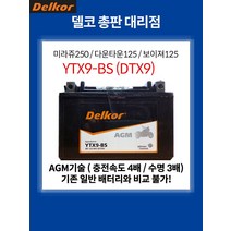델코 YTX9-BS AGM 배터리