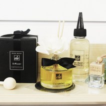 에떼 우드세이지앤씨솔트 차량용 고급디퓨저 100ml B12, T오우드우드, 1개