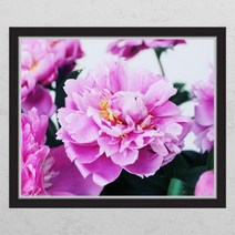 [바보사랑] 부를부르는풍수작약꽃_창문그림액자[꾸밈], 타입선택:B타입외부창문형
