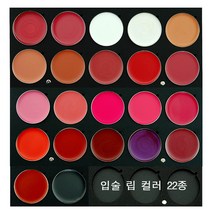 JX Professional 메이크업 국가자격증 입술 립컬러 3g 22색 컬러 단품, 1개, R20