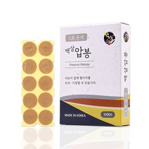 백살압봉 은색 1호(100개입) 압침봉 압봉 지압침 압침, 10개