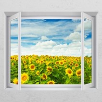 아트박스/꾸밈 cc065-기분좋은해바라기_디자인시트지, D타입-엘레강스실버