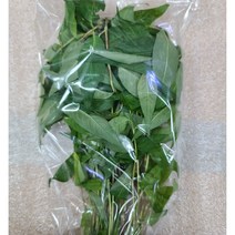 아시아바질 라오람 바질 신선한채소 포장1Pack WORLDFOOD, 1개