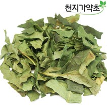 청정제주산 황칠나무잎 (잔가지포함) 300g, 3봉