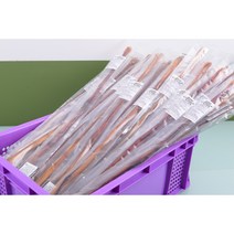 (유통기한 23.07.04) 피즐스틱 불리스틱 롱스틱 65cm 강아지 수제간식 국내산 한우 소우신, 롱피즐스틱 XL